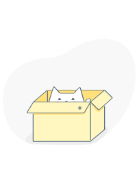 Gato escondido en una caja - Tienda online Correos